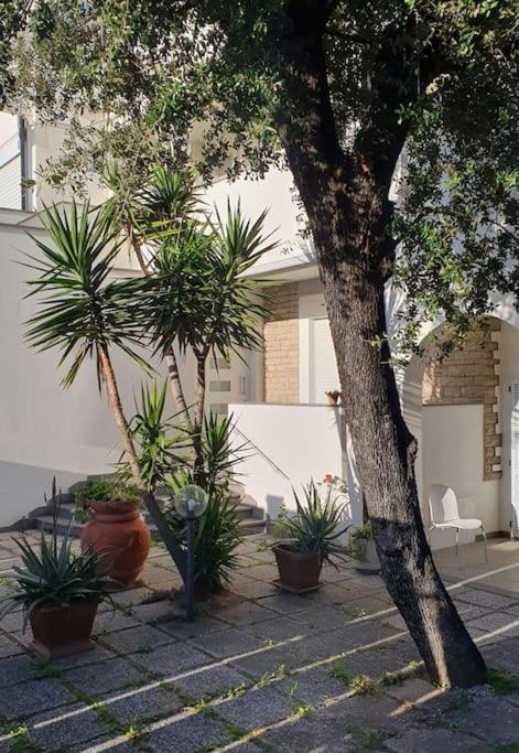 Apartamento Lecci Al Mare San Vincenzo Exterior foto