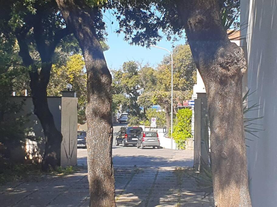 Apartamento Lecci Al Mare San Vincenzo Exterior foto