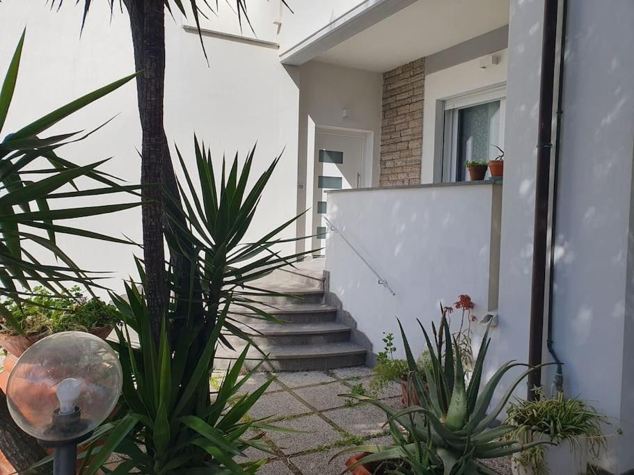 Apartamento Lecci Al Mare San Vincenzo Exterior foto